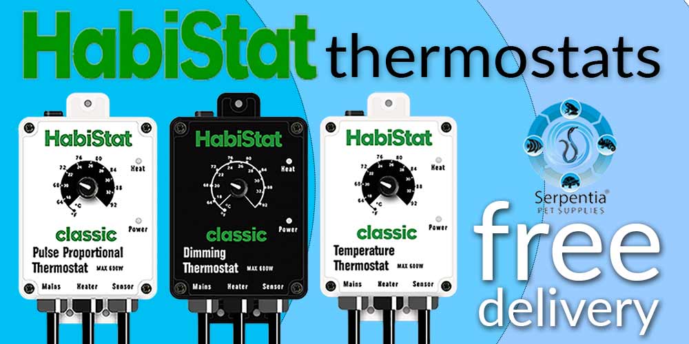 Digital Terrarium Heater Thermostat