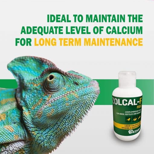 Zocal F Liquid Calcium with Vitamin D3 For Birds Reptiles and Rabbits
